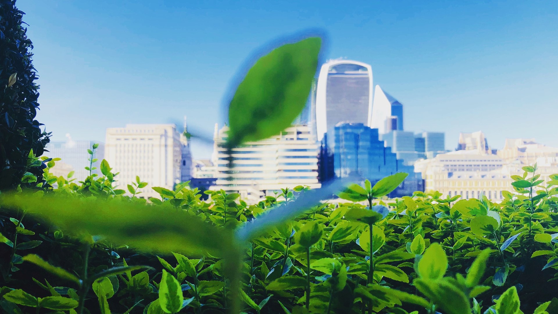 Green Economy | A guide to green financing options for businesses